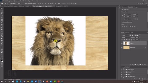 Photoshop: Transform photos into woodcuts!
