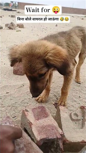 #10million #trending