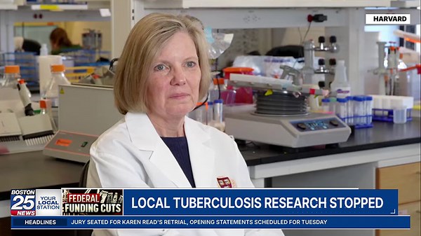 Harvard stands to lose $2.2 billion in federal funding. Researchers fear science will suffer