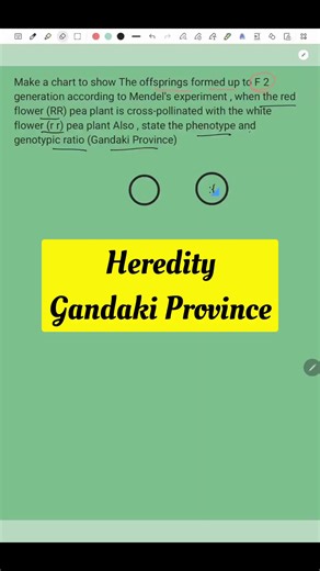 Understanding Mendelian Genetics for Class 10