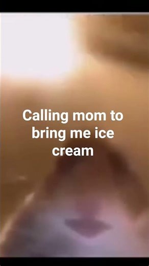 hamster calling meme🤣🤣😂😂 #funny #trending