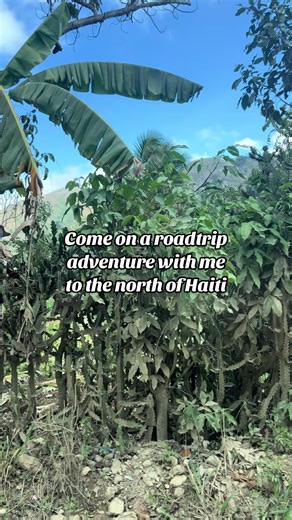Discovering the Hidden Beauty of Haiti