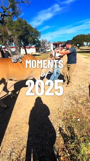 3.2K views · 83 reactions | Exotic Wildlife Veterinary Services on Reels | Facebook