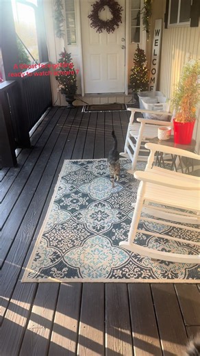 Ghost face locked in for scream 7