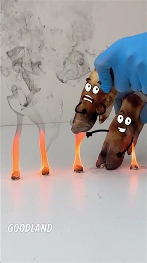 Goodland | Hooves and burning paper 😂 #cartoon #doodles #animation #funny