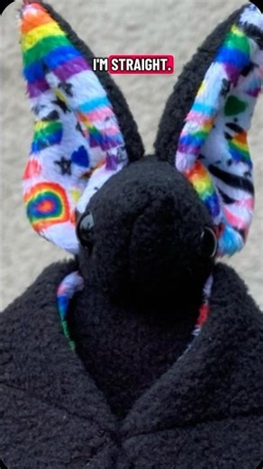 The bats :p#gay #bi #handmade #bat #plush Bat stuffed animal pattern by beezeeart