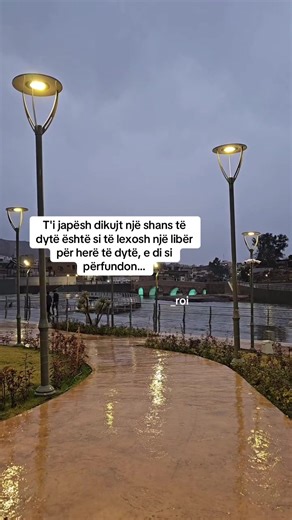 #fyp #foryou #foryoupage #viraltiktok | roi song lyrics