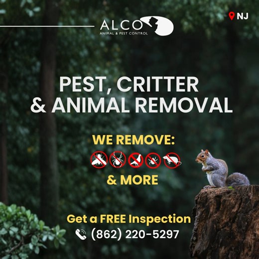 ALCO PEST CONTROL NJ on Instagram: "Flying Squirrel Removal in NJ ALCO Animal & Pest Control provides professional Flying Squirrel Removal in NJ to protect homes from damage and health risks. Our team safely removes squirrels, seals entry points, and prevents future infestations using humane methods trusted by homeowners across New Jersey statewide reliable proven solutions. Learn more: https://njpest.com/pest_removal_nj.asp?pest_id=24 #flyingsquirrelremoval #animalcontrol #pestcontrolnj #wildli