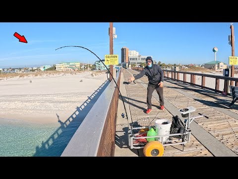 Crazy Catch at the Gulf Pier!