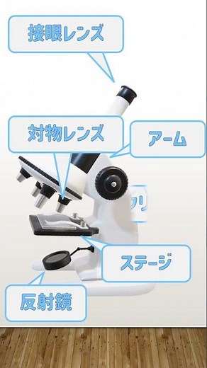 (授業での使用可)五年生理科【顕微鏡の使い方】顕微鏡の各部名称＃ショート＃ショート動画＃授業使用可＃顕微鏡の各部名称＃生物顕微鏡の各部名称＃小学校の理科＃理科＃物理学＃理科支援員＃ソラリカ