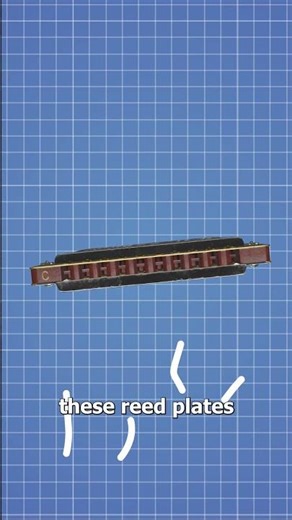 How A Harmonica Works 🤔