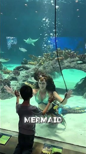 The DARK Side of Being a Professional Mermaid 🧜‍♀️🛑