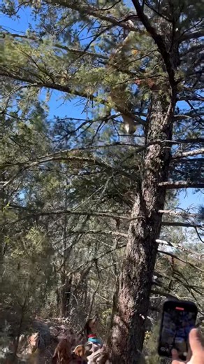 Good day training dogs with Shawn Wimberly | Bency Outfitters and Guides