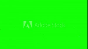 birds fly high in the sky from left to right green screen looped