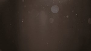 Dusty particles floating in the morning sunlight rays. Slow motion.