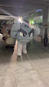 106K views · 4.9K reactions | Japón es otro Nivel. #pokemon #pokemonfan #pokemontrainer #pokemongo #pokemoncommunity #pokemontcg #anime #anipoke #shinypokemon #japon | PokeCity | Facebook