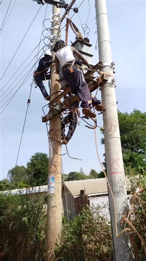 Maintenance Tips for a 3 Phase Transformer