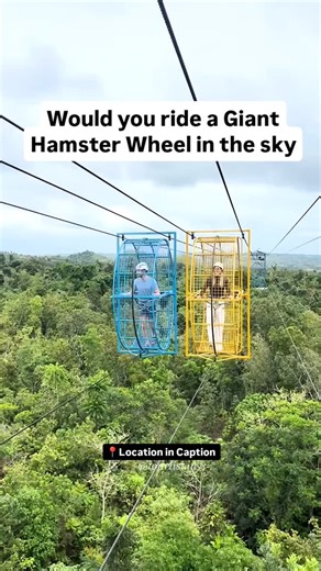 TourList on Instagram: "Ever wanted to feel like a giant hamster? 🐹 Check out the human-sized hamster wheel at Danao Adventure Park in Bohol! 🎢 It's a wild ride that’ll have you rolling with laughter! 🎊 Who's ready to take on this sky-high adventure? 🚀 📍Bohol, Philippines 📹 emma.tallaksen (TT) #boholphilippines #philippinestravel #AdrenalineJunkie #thingstodo #discoverphilippines #bucketlistadventures #vietnamtravelers #AdventureAwaits #travelgoals #TravelThereNext #TourList [Danao Adventu