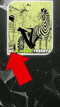 One Piece Una curiosidad por cada capítulo del manga #80
