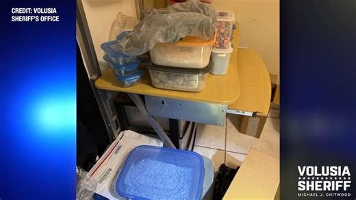 Watch: Detectives uncover over 100K pills, narcotics during Florida drug bust