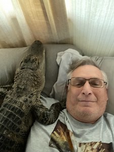 Cet alligator de compagnie, qui adore les câlins et les promenades, a sauvé son maître de la dépression. Découvrez l'émouvante histoire de Wally et Jo 🐊 | GEO France