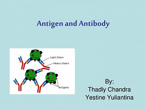 Antigen and Antibody - SlideServe