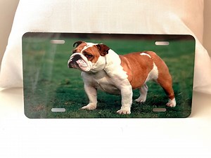 Car License Plate With Personalized Photo Dog/matrícula De Coche Con Foto Personalizada Dog - Etsy