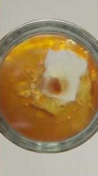 Best Home Oil Press Machine for Fresh Peanut, Sesame & Almond Oil