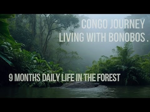 Congo Adventure: Living Among the Bonobos
