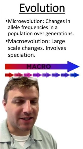 Micro vs Macro Evolution