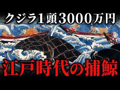 1頭で7つの村が潤う！？江戸時代の「捕鯨」は命がけの超巨大ビジネスだった