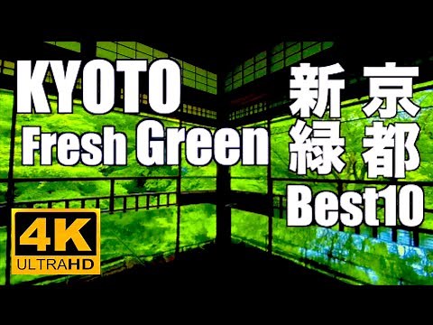 4K 京都の青もみじ 新緑 Best10 Fresh green leaves Kyoto 京都観光 旅行Japan 東福寺 瑠璃光院 祇王寺 永観堂 三千院 嵐山 Nature Sounds 庭園