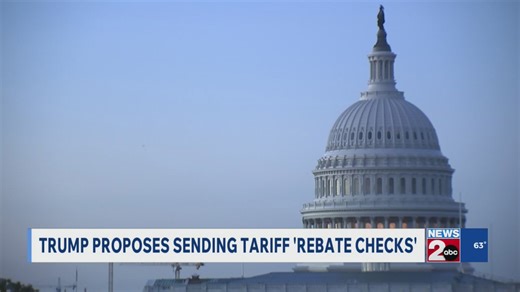 Trump proposes sending tariff 'rebate checks'