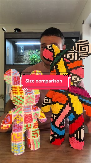 Building Blocks: A Size Comparison of Medium and Big Bears