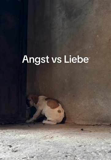 Alitas Weg zur Heilung: Kleine Schritte des Vertrauens