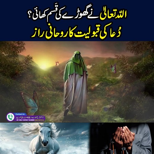 239K views · 10K reactions | اللّہ تعالیٰ نے گھوڑے کی قَسم کھائی ؟ دُعا کی قبولیت کا روحانی راز #blackmagic #drfarrukhshah #ghost #jinnat #horror | Dr. Farrukh Shah | Facebook