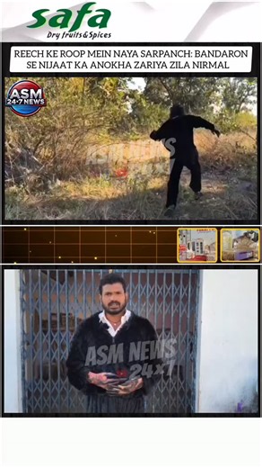 ASM NEWS 24×7 on Instagram: "#REENCH KE ROOP ME #SARPANCH | BANDARON SE NIJAAT KE LIYE #SARPANCH BANGYA REENCH | NIRMAL #MONKEY #telangana Animal"
