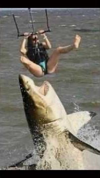 These Newly Uncovered Photos Will Leave You Breathless...