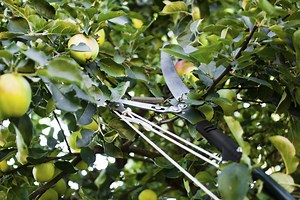 How to Install a Pole Pruner Blade