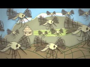 Climate Science in a Nutshell #7: Climate Change around the