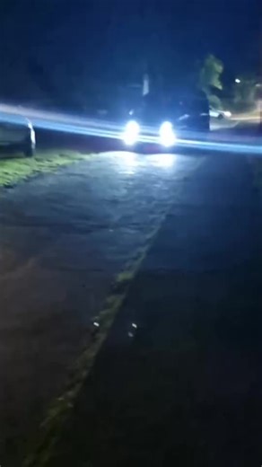 Exploring Vincy Van Culture on TikTok