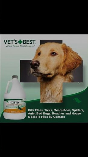 Vet’s Best Flea and Tick Yard and Kennel Spray Review