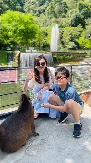#宜蘭 #鳳梨屋水上莊園 #親子景點 #宜蘭親子景點 #宜蘭親子旅遊 #宜蘭一日遊 #宜蘭親子一日遊 #宜蘭景點 #宜蘭民宿 #宜蘭住宿 #宜蘭露營 #宜蘭祕境 #水豚 #卡皮巴拉 #宜蘭咖啡廳