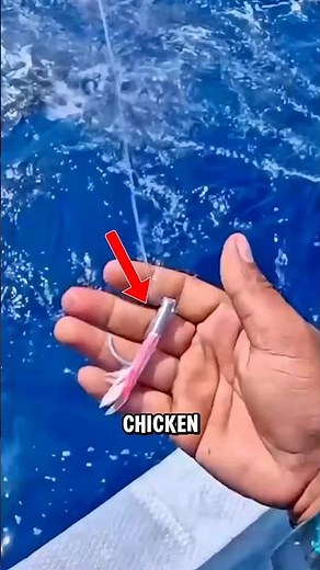 Pole and Line: The Speed Fishing Technique for Skipjack Tuna 🎣🐟