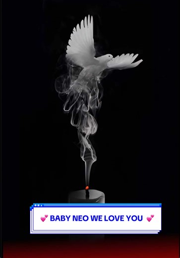 Remembering My Cat Neo: A Heartfelt Tribute