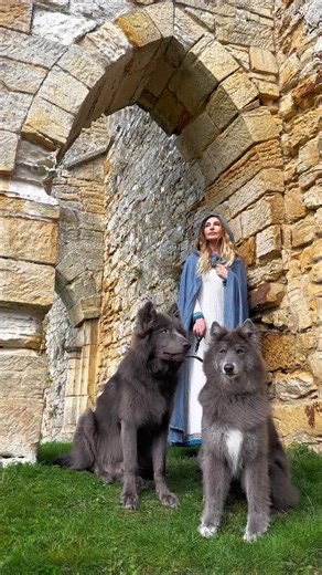 Anneka Svenska on Instagram: "Galadriel — the last great Noldorin Elf, a healer of wounds seen and unseen — walks with the grace of starlight itself. Beside her, two guardian wargs move like living shadows, sworn to protect the Lady who can calm storms, heal creatures with a touch, and read the hearts of all who cross her path. ✨🐺🐺 #Galadriel #Noldor #LOTR #FantasyReel #Wargs #MiddleEarthMagic #highelf #elf #lordoftherings #rivendell #wolf #wolves #bluewolf #bluewolfdog #wolfdog"