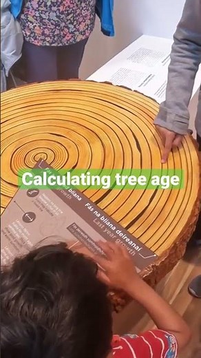 Calculating tree age using annual rings #ireland #nature #exploreireland #countymayo #irelandtravel