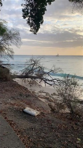 My local beach 🏝️