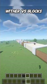 Wither VS Blocks😱 #birdtrend #minecraft
