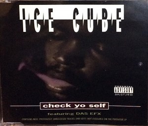 Ice Cube - Check Yo Self